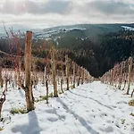 Holiday home Steirerblicke - Weinstoeckl Hochgrail Sankt Stefan ob Stainz