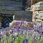 Steirerblicke - Weinstoeckl Hochgrail Holiday home *