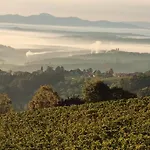 Steirerblicke - Weinstoeckl Hochgrail * Sankt Stefan ob Stainz
