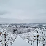 Steirerblicke - Weinstoeckl Hochgrail