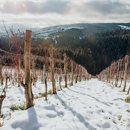 בית נופש Steirerblicke - Weinstoeckl Hochgrail Sankt Stefan ob Stainz