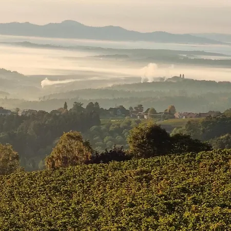 Steirerblicke - Weinstoeckl Hochgrail * Sankt Stefan ob Stainz