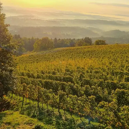 Weinstoeckl Hochgrail Pures Sein Semesterbostad Sankt Stefan ob Stainz