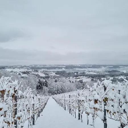 Steirerblicke - Weinstoeckl Hochgrail