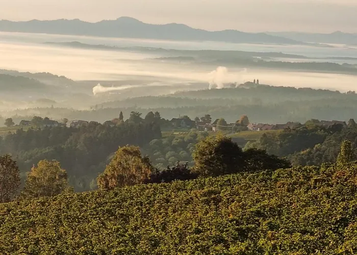 steiRerBLiCke - Weinstöckl Hochgrail * Sankt Stefan ob Stainz