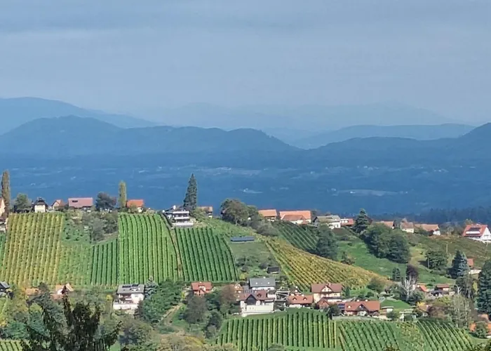 steiRerBLiCke - Weinstöckl Hochgrail *